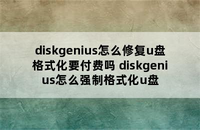 diskgenius怎么修复u盘格式化要付费吗 diskgenius怎么强制格式化u盘